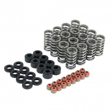 SKUNK2 ULTRA VALVE SPRINGS AND SPRING BASE SET: L15B7