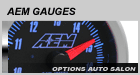 Analog Gauges
