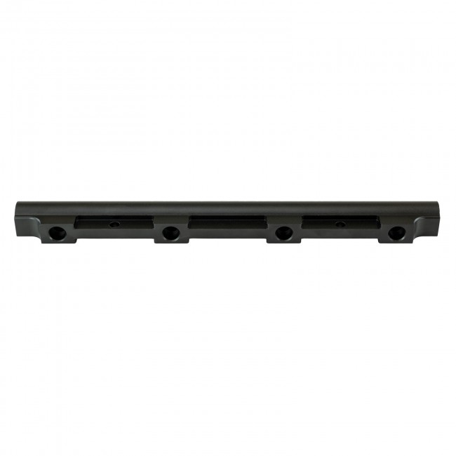 SKUNK2 ULTRA FUEL RAIL: K20C1/K20C4