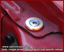 SKUNK2 FENDER WASHER: LARGE 20MM (GOLD)